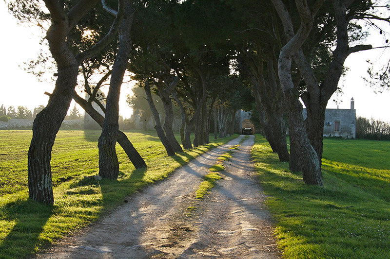 San Nicola di Casole