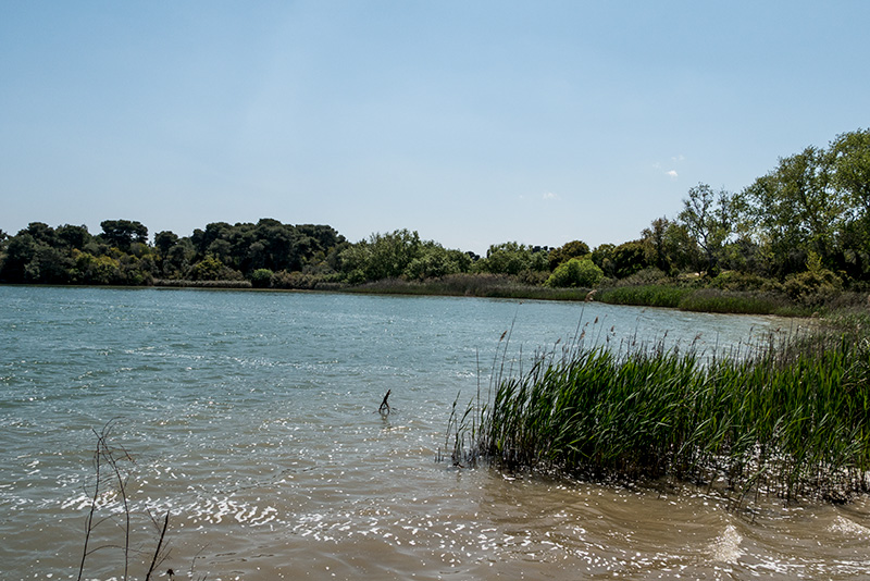 Laghi Alimini Otranto